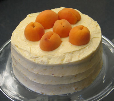 apricot_cake_web.jpg
